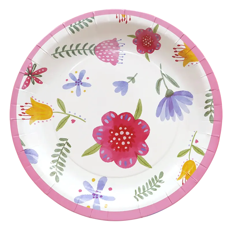 Đĩa giấy 300g